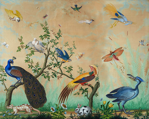 Exotic birds, animals and insects painting