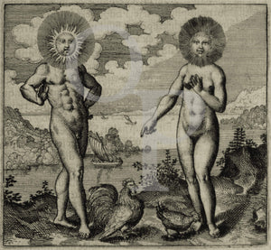 The Sun Needs the Moon. Antique alchemy illustration
