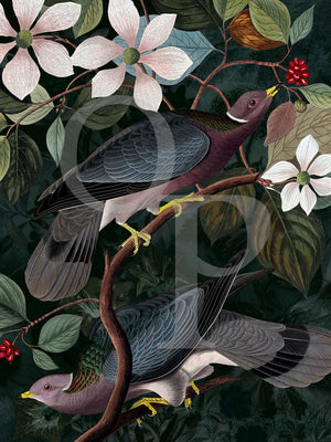 Fruits of the Forest. Rain forest birds. Dark floral original collage. Fine art print
