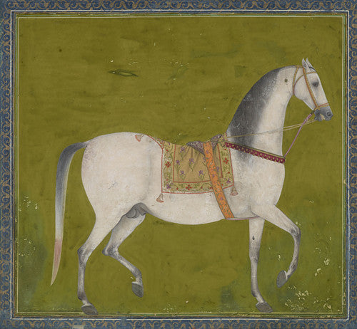 Portrait of a stallion. Indo-Persian horse painting.