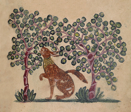 Medieval Rabbit Illustration