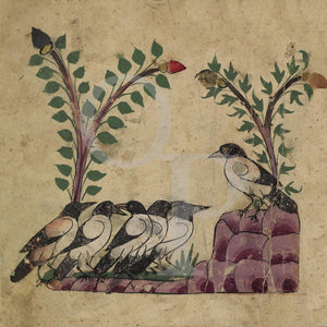 Meeting of the Birds painting from the Kalila wa Dimna