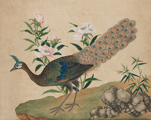 Peacock in a Landscape. Chinese painting. Qing dynasty