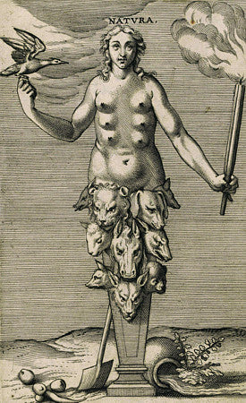 Antique Dutch engraving, Natura. Diana of Ephesus, with many breasts.
