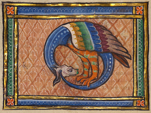 Medieval illuminated manuscript painting of a snake-like dragon. Franco-Flemish bestiary artwork. Fine art print