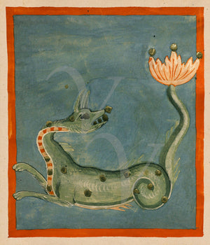 Medieval painting of the Cetus (Sea Monster) constellation. Astronomy and astrology. 