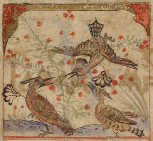 Persian painting of three Hoopoe birds. Antique artwork, Persia