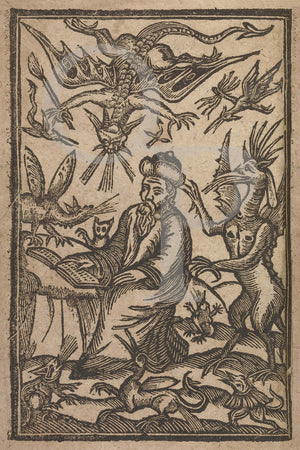 A Wizard and Demons. Antique magic illustration.