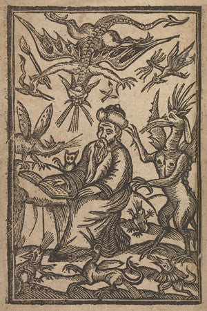 Wizard and Demons. Antique occult illustration.