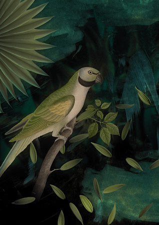 Night Parrot. Green bird collage. Fine art print 