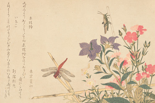 Red Dragonfly and Locust by Kitagawa Utamaro