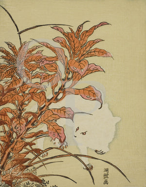 White Rabbit and Amaranth by Isoda Koryusai. Japanese art print