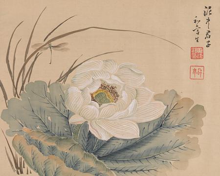 Japanese silk painting of a lotus flower. Fine art print