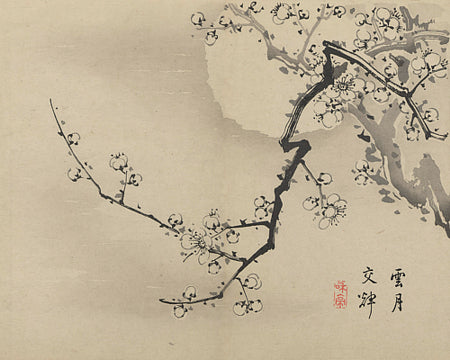 Full Moon Blossoms. Japanese ink painting. Fine art print 