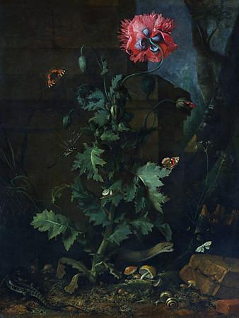 Night Garden. Antique dark garden painting. Fine art print
