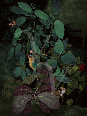 Verdant Retreat. Rain forest birds collage. Fine art print 