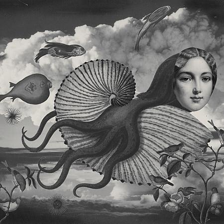 From the Cabinet of Dr. Calamari original collage. Surreal flying octopus woman. Fine art print.