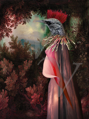 Abstract bird art print. Dream art. Original collage. Fine art print