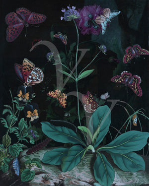 Dream of Spring. Butterfly Garden Collage. Fine Art Print