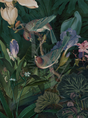 Hideaway. Lush tropical garden birds collage. Fine art print 