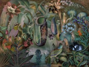 Garden of Venus. Whimsical nature collage. Fine art print