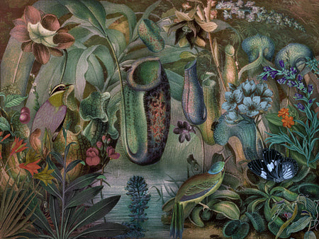 Garden of Venus. Fantasy forest Collage. Fine art print