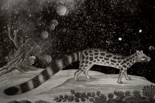 Cosmic Cat. Original collage. Fine art print 