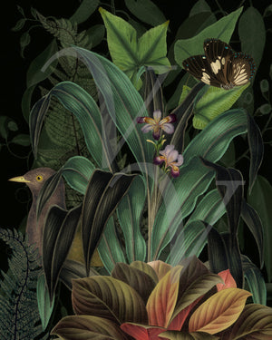 Velvet Bower. Lush rain forest plants with bird collage. Fine art print