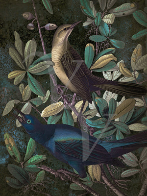Morning Song. Dark forest birds collage. Fine art prints
