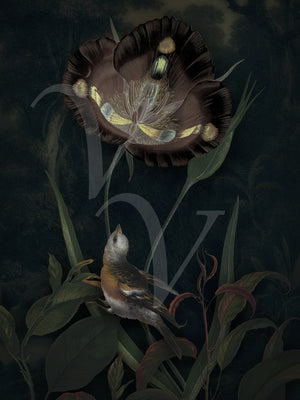 Wonder. Dark forest bird with exotic flower collage. Fine art print