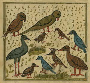 The Meeting of the Birds, paintings from from an Ottoman Turkish manuscript