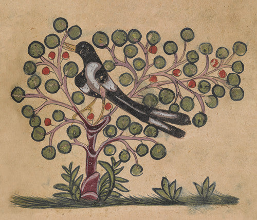 Bird in a tree, from a Medieval Arabic bestiary