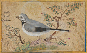 Antique bird painting of a Nightingale, Persia