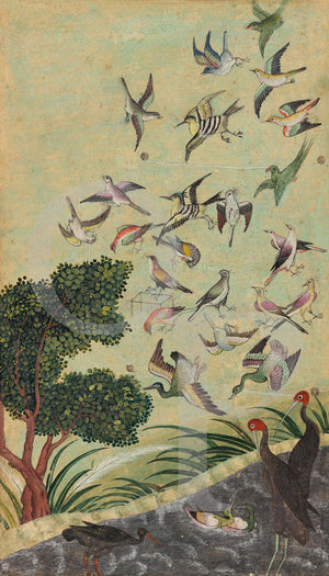 Mughal bird painting. Antique artwork, India
