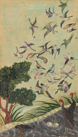 Mughal bird painting. Antique indian artwork