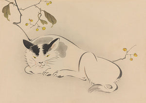 White Cat in Garden by Shibata Zeshin
