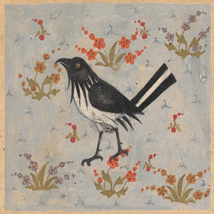 Persian painting of a Magpie. Antique bird art