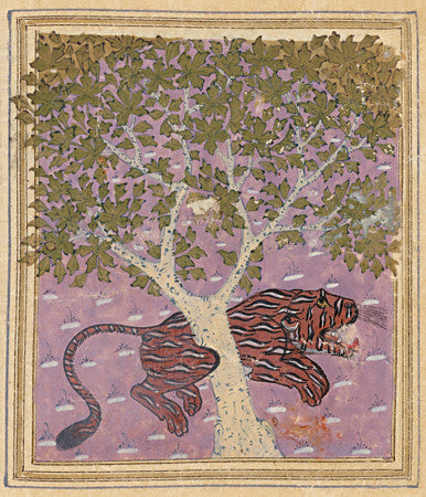 Persian painting of a tiger and a Camphor Tree (c.1540s)
