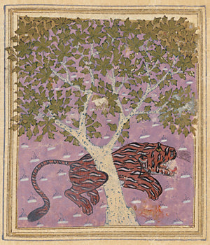 Persian painting of a tiger and a Camphor Tree (c.1540s)
