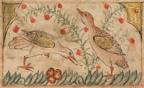 Persian watercolour painting of two quails