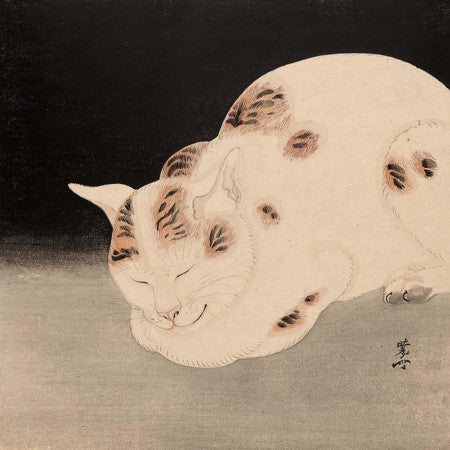 Sleeping Cat by Kawanabe Kyôsai 