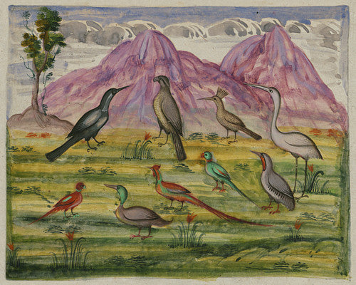 Persian bird painting.  