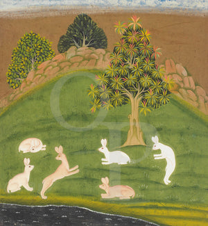 Indian painting of hares in a landscape. Rajasthan India