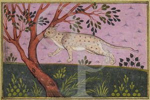 Wild cat or a Lynx, Persia