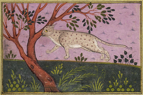 Persian painting of a wild cat.