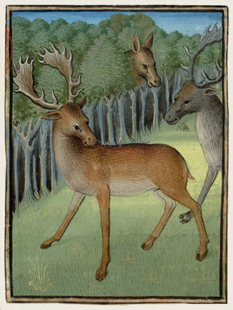 Medieval deer painting. Stags in forest 