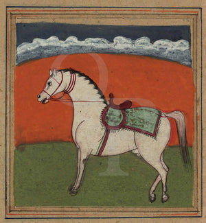 Persian painting of a white Stallion