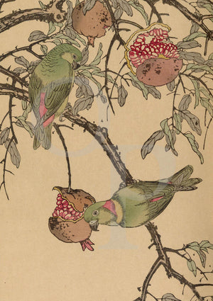 Lovebirds and Pomegranates by Imao Keinen. Japanese woodblock art
