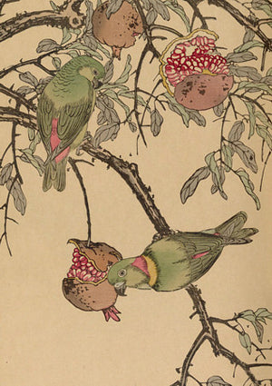 Lovebirds in Pomegranate Tree by Imao Keinen