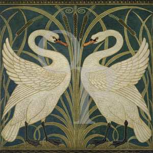 Swans, Rush and Iris by Walter Crane. Art Nouveau design